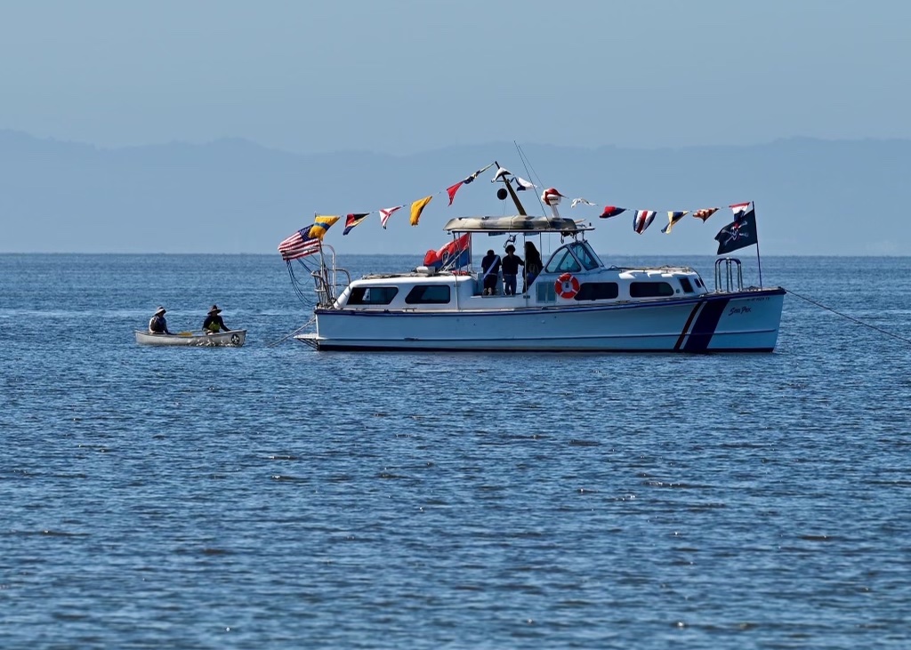 SSS Sea Fox vessel decked out with flags on water